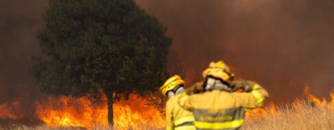 Guardias civiles denuncian la «desarticulación» del Seprona en plena oleada de incendios