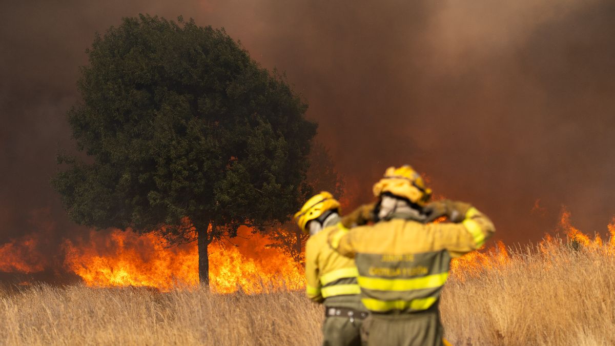 Guardias civiles denuncian la «desarticulación» del Seprona en plena oleada de incendios