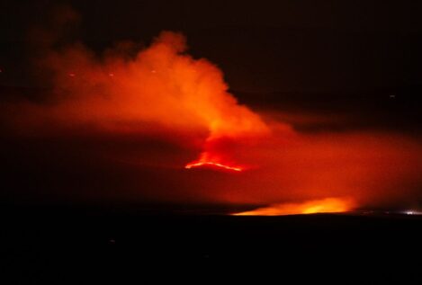 Así te hemos contado los incendios forestales de este domingo en España