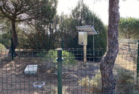Estudian técnicas para medir cómo se infiltra el agua subterránea en Doñana