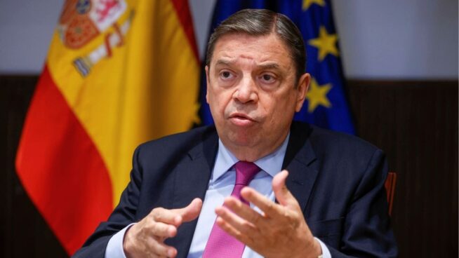Planas: «Las ayudas agrícolas por la dana buscan que no se abandone una sola hectárea»