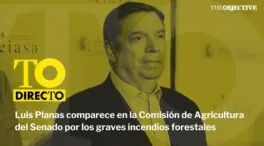 DIRECTO | Luis Planas comparece en la Comisión de Agricultura del Senado por los graves incendios