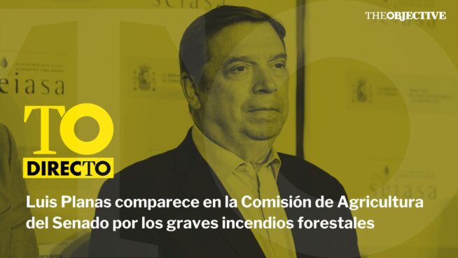DIRECTO | Luis Planas comparece en la Comisión de Agricultura del Senado por los graves incendios