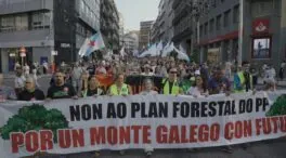 Miles de manifestantes reclaman en Galicia la «dimisión» de Rueda por los incendios