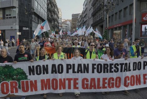 Miles de manifestantes reclaman en Galicia la «dimisión» de Rueda por los incendios