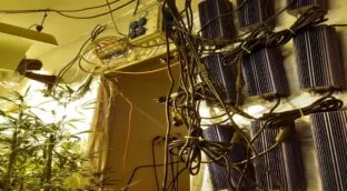 Récord de fraudes eléctricos: 32.000 casos hasta el mes de junio, siete cada hora