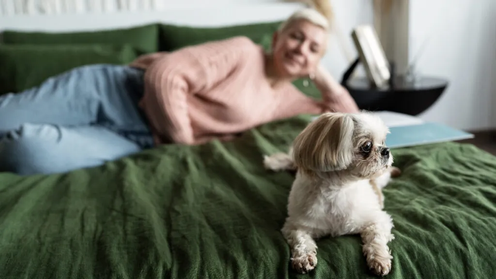 mujer-mayor-dormir-mascotas-perro-pequeno
