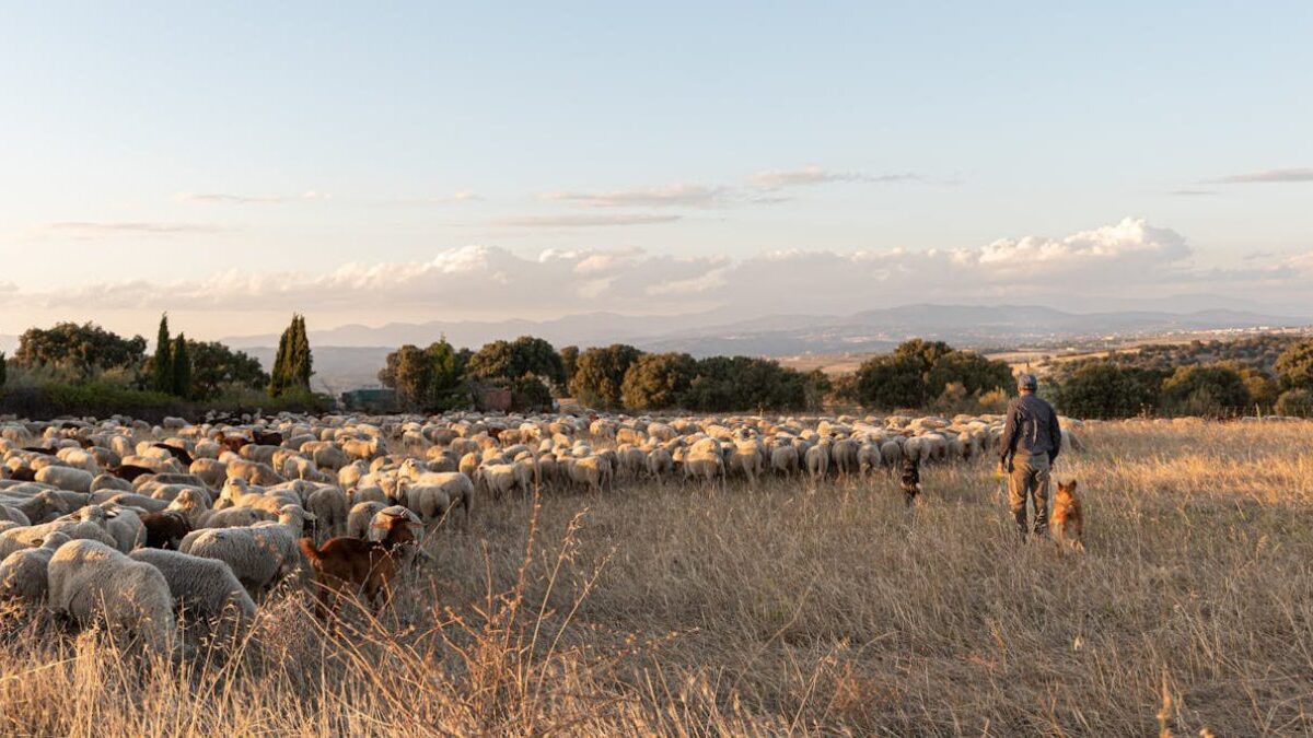 El medio rural no necesita más subvenciones, sino pagos justos por los servicios que da