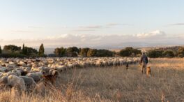 El medio rural no necesita más subvenciones, sino pagos justos por los servicios que da