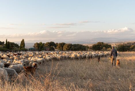 El medio rural no necesita más subvenciones, sino pagos justos por los servicios que da