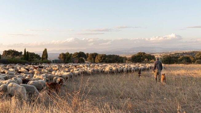 El medio rural no necesita más subvenciones, sino pagos justos por los servicios que da
