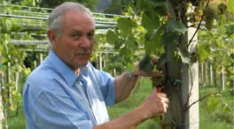 Entramos en el Pazo de Rubianes, la joya ligada a los Ozores: una gran bodega y jardín botánico