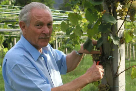 Entramos en el Pazo de Rubianes, la joya ligada a los Ozores: una gran bodega y jardín botánico