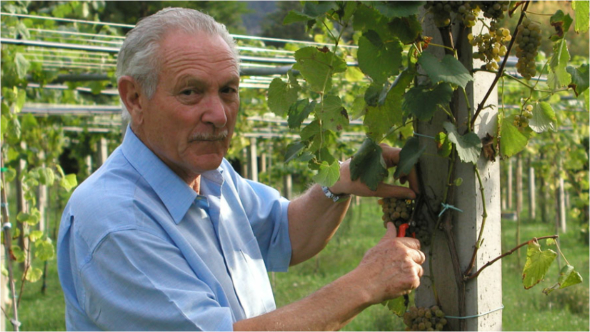 Entramos en el Pazo de Rubianes, la joya ligada a los Ozores: una gran bodega y jardín botánico