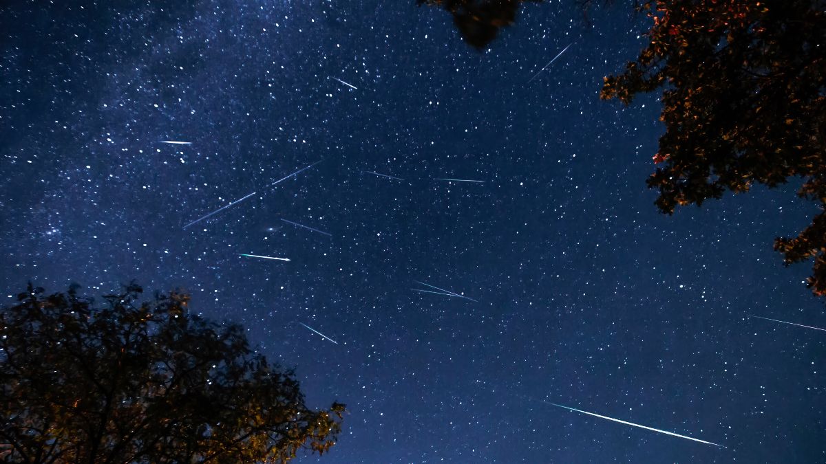 Esperando a las Perseidas: qué ver en el cielo de una noche de verano