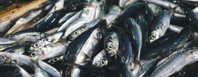 El curioso caso nutricional de las sardinas: de qué depende que aporten más o menos calcio