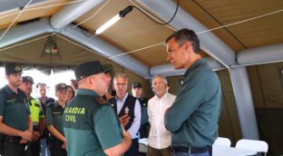 El Gobierno declarará zona de emergencia los territorios afectados por los incendios