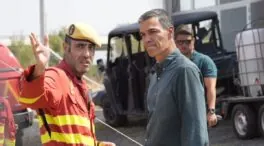 Un grupo de científicos culpa de los incendios a las políticas verdes contra el cambio climático
