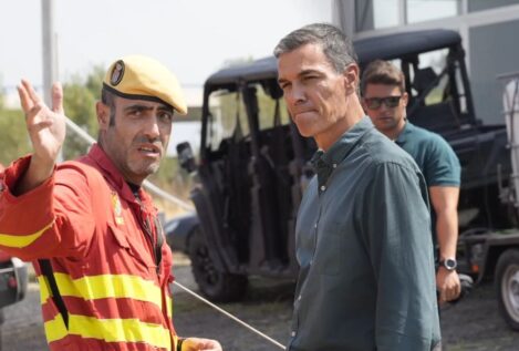 Un grupo de científicos culpa de los incendios a las políticas verdes contra el cambio climático