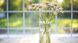 El secreto de los floristas para que un ramo de flores dure lo máximo posible
