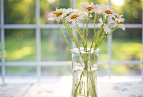 El secreto de los floristas para que un ramo de flores dure lo máximo posible