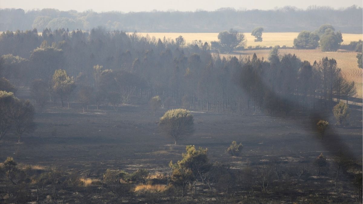 Aemet avisa: el peligro de incendios seguirá hasta el lunes en la mayor parte de España
