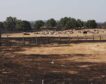 El doble palo a los ganaderos por los incendios: las tierras quemadas no reciben pagos PAC