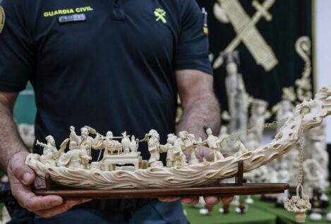 Golpe al tráfico de marfil: intervienen 127 piezas de elefantes asiáticos y africanos en Valencia