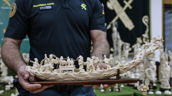 Golpe al tráfico de marfil: intervienen 127 piezas de elefantes asiáticos y africanos en Valencia