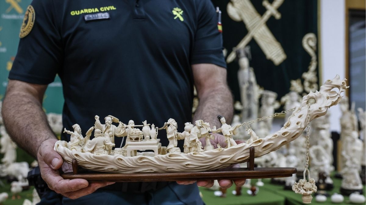 Golpe al tráfico de marfil: intervienen 127 piezas de elefantes asiáticos y africanos en Valencia