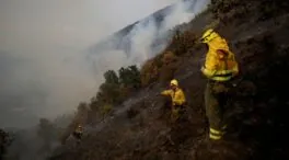 El fin de la ola de calor logra una evolución favorable de los fuegos en Castilla y León