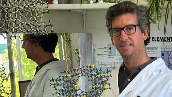 La vida especular plantea riesgos invisibles para el equilibrio biológico
