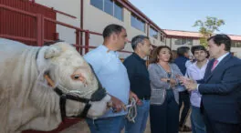 Mañueco anuncia un plan para reforzar la ganadería extensiva de Castilla y León