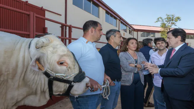 Mañueco anuncia un plan para reforzar la ganadería extensiva de Castilla y León