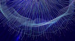 La geometría oculta en el cerebro: así hacemos mapas mentales para orientarnos en el mundo