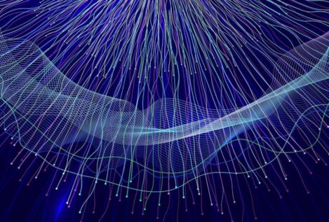 La geometría oculta en el cerebro: así hacemos mapas mentales para orientarnos en el mundo