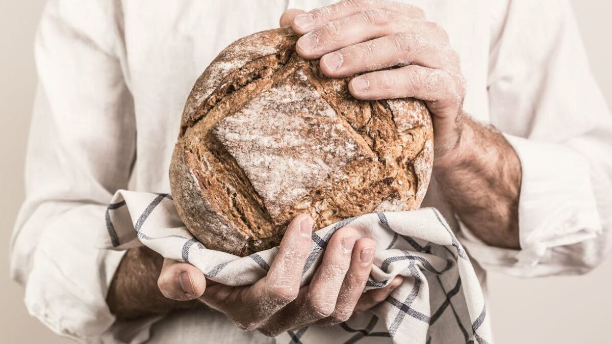 Masa madre casera para hacer pan con fundamento científico