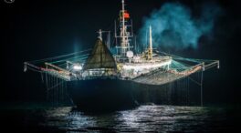 EJF revela que España es la puerta de entrada del calamar importado de la Milla 201
