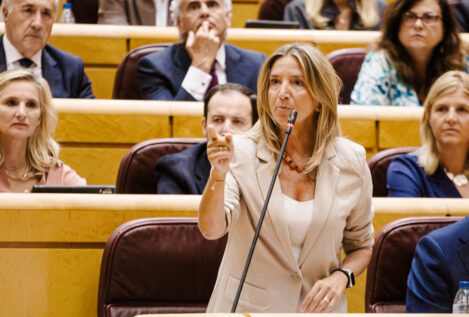 El PP lleva al Senado el escándalo de las pulseras antimaltrato
