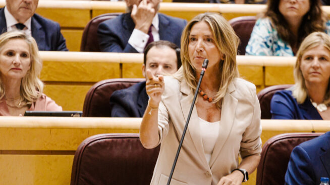El PP lleva al Senado el escándalo de las pulseras antimaltrato