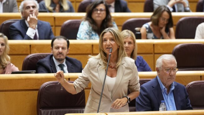 El PP afirma en el Senado que «Sánchez alienta la violencia para tapar su semana judicial»