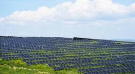 SOS Rural y Ecología y Libertad alertan sobre las plantas fotovoltaicas en Lopera (Jaén)