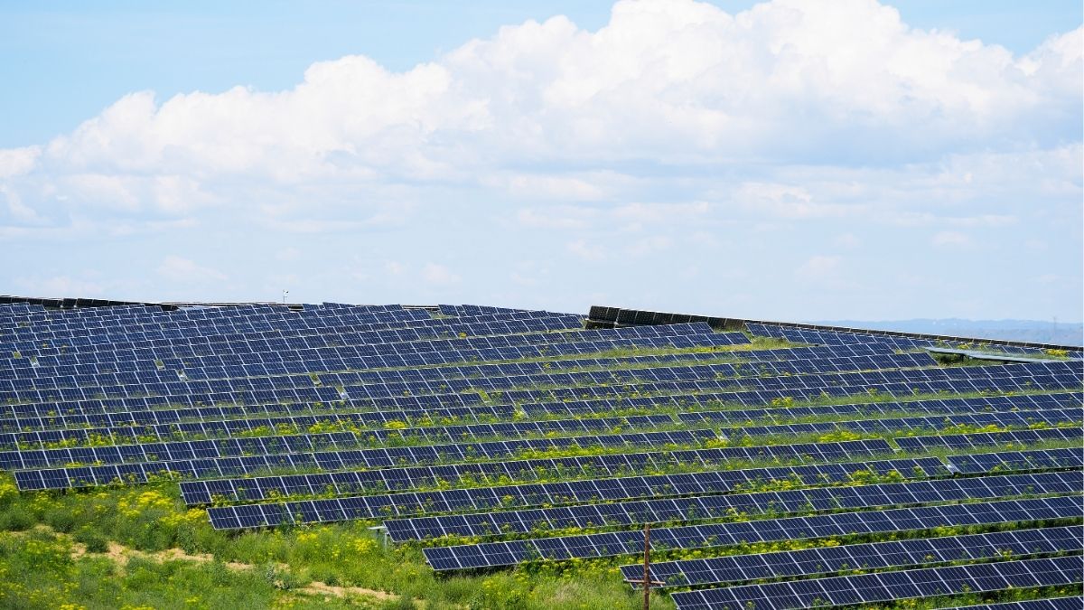 SOS Rural y Ecología y Libertad alertan sobre las plantas fotovoltaicas en Lopera (Jaén)
