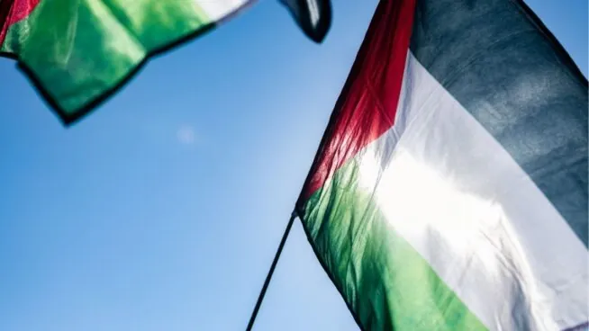 Denuncian al alcalde de un pueblo de Madrid por poner la bandera palestina en el Consistorio