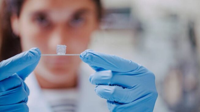 Desarrollan vasos sanguíneos bioimpresos que imitan el latido arterial