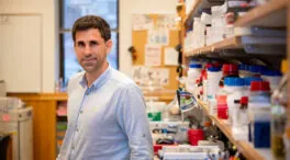 Diseñan con IA generativa antibióticos inéditos contra la resistencia bacteriana