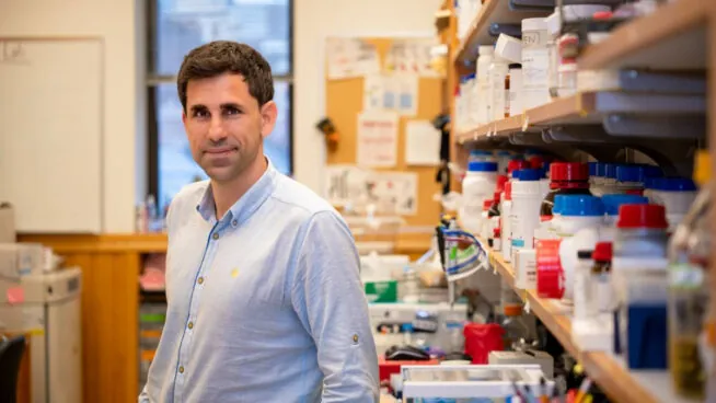 Diseñan con IA generativa antibióticos inéditos contra la resistencia bacteriana