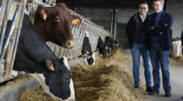 Organizaciones agrarias presionaron a Feijóo para priorizar el campo ante la apatía del PP
