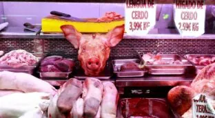 China, gran cliente del porcino español, dispara la producción propia e impone aranceles