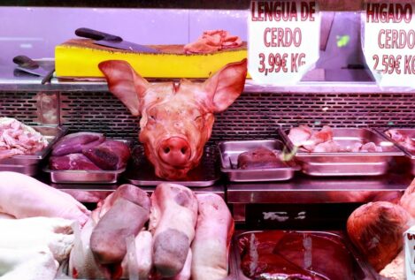 China, gran cliente del porcino español, dispara la producción propia e impone aranceles